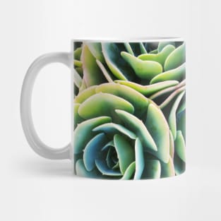 Succulent Rose Mug